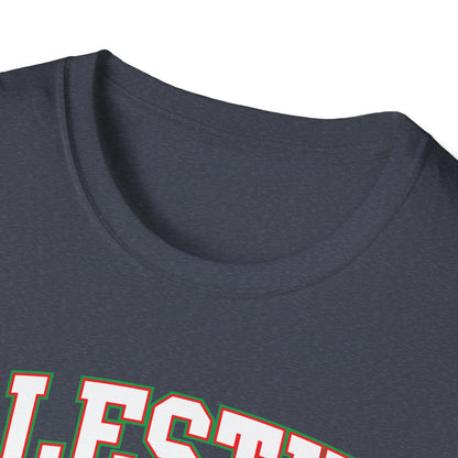 Palestine College Style Texas TX Vintage Sports T-Shirt For Men Women T-Shirt