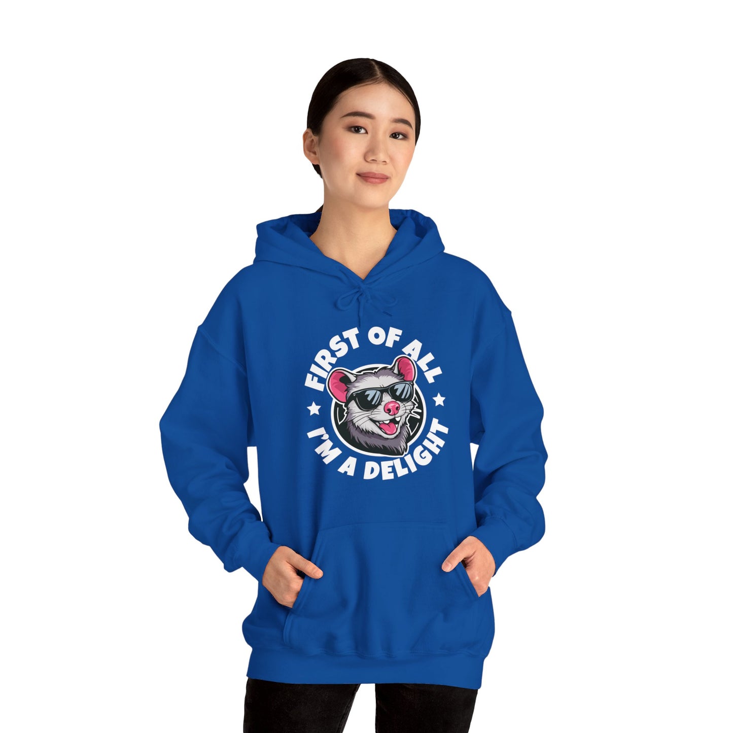 Funny First Of All I'm A Delight Sarcastic Angry Opossum Possum Hoodie For Men Women Hoodie