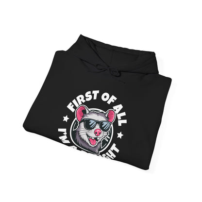 Funny First Of All I'm A Delight Sarcastic Angry Opossum Possum Hoodie For Men Women Hoodie