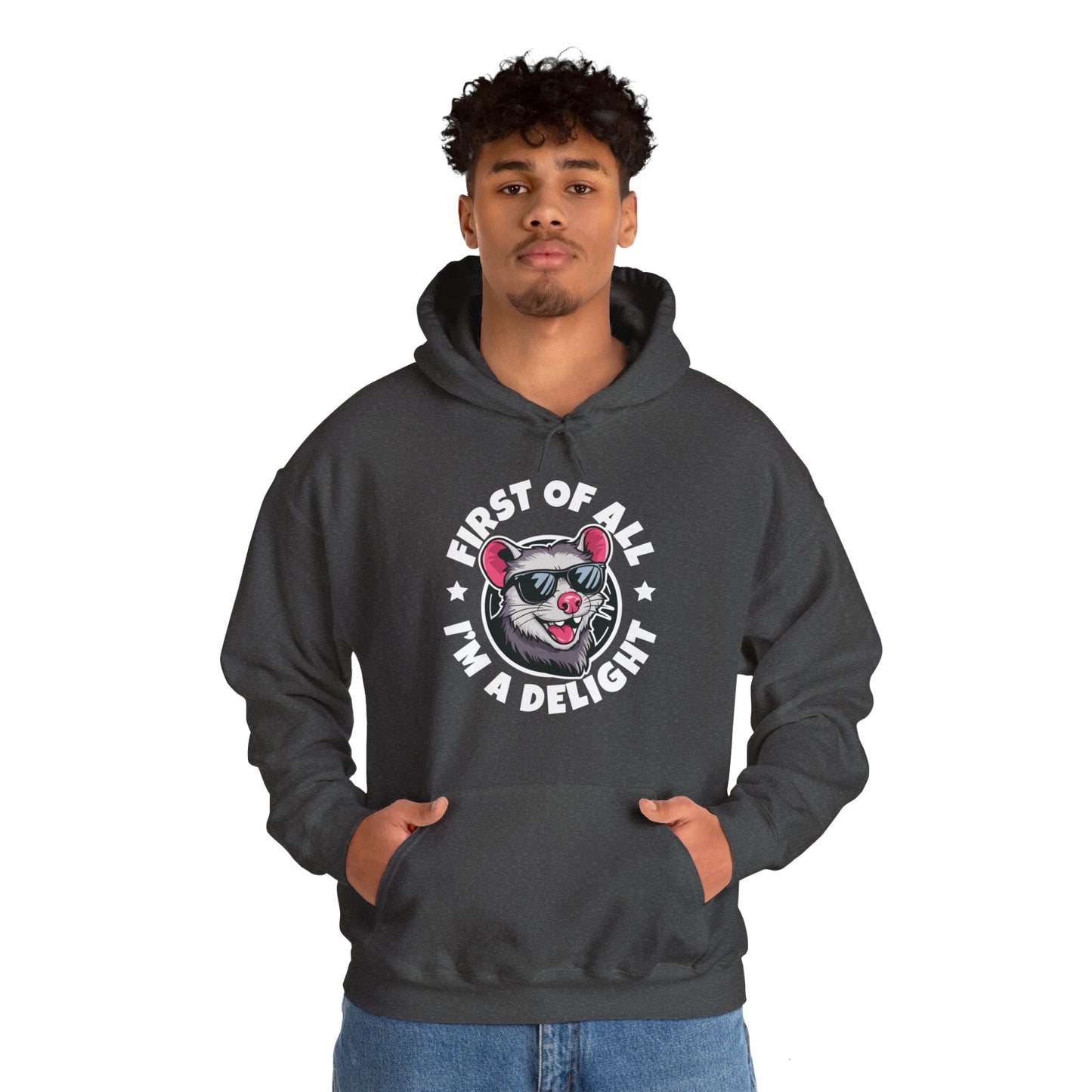 Funny First Of All I'm A Delight Sarcastic Angry Opossum Possum Hoodie For Men Women Hoodie