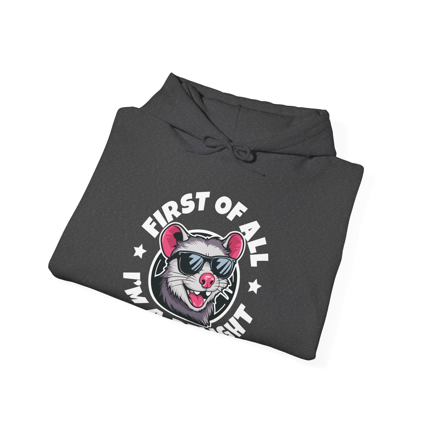 Funny First Of All I'm A Delight Sarcastic Angry Opossum Possum Hoodie For Men Women Hoodie