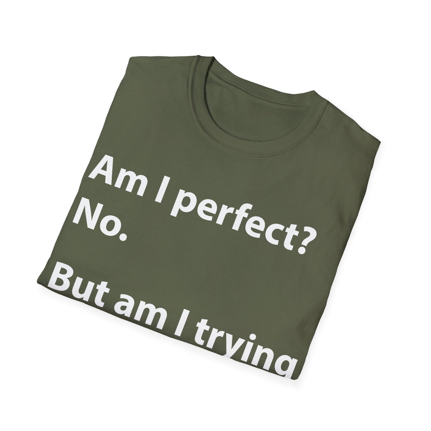 Funny Am I Perfect No. Am I Trying To Be A Better Person Also No Sarcastic T-Shirt