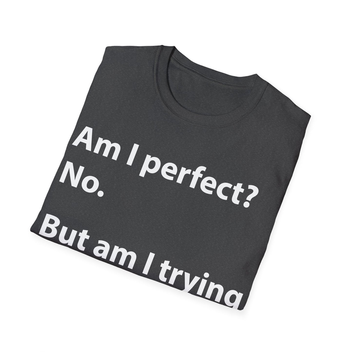 Funny Am I Perfect No. Am I Trying To Be A Better Person Also No Sarcastic T-Shirt