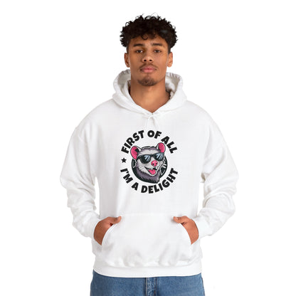 Funny First Of All I'm A Delight Sarcastic Angry Opossum Possum Hoodie For Men Women Hoodie