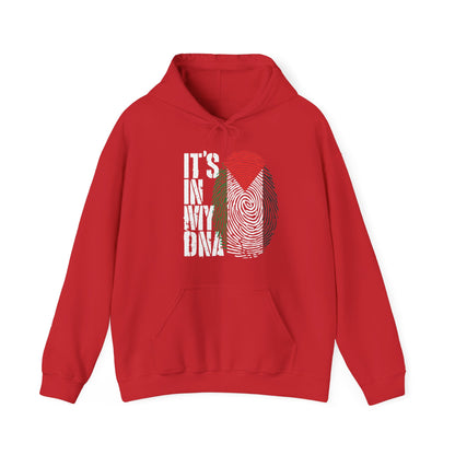 It's In My DNA Palestinian Hoodie Arabic Gifts Palestine Flag Hoodie For Men Women Hoodie