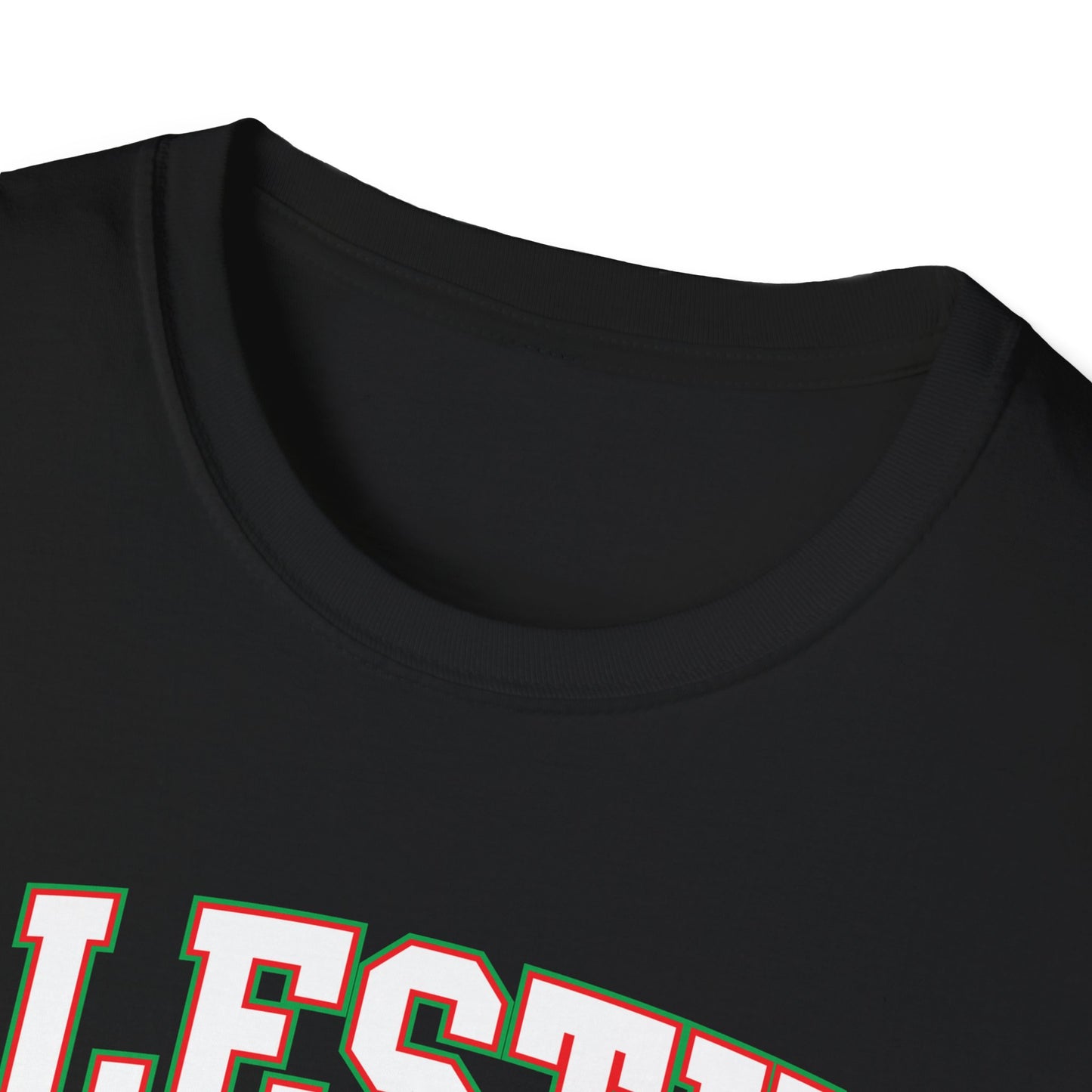 Palestine College Style Texas TX Vintage Sports T-Shirt For Men Women T-Shirt