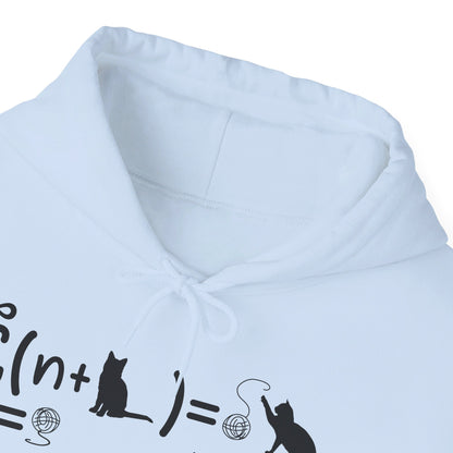 Funny String Theory Science Nerd Physics Schrodinger's Cat Hoodie For Men Women Hoodie