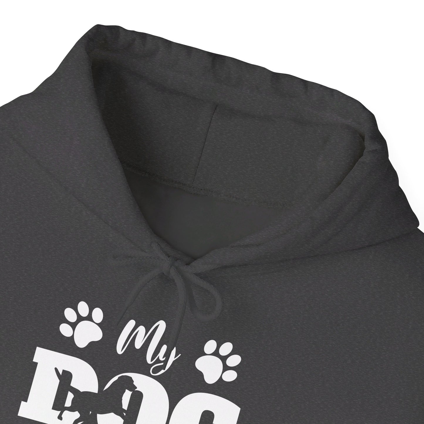 Funny My Dog is My Valentine Dog Lovers Hoodie For Men Women Hoodie