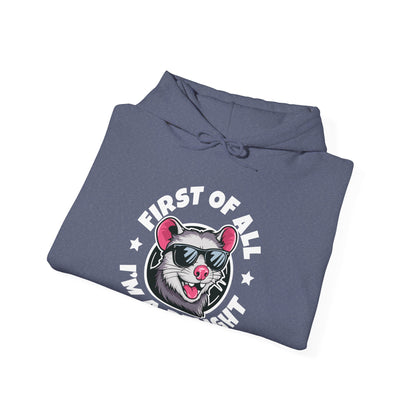 Funny First Of All I'm A Delight Sarcastic Angry Opossum Possum Hoodie For Men Women Hoodie