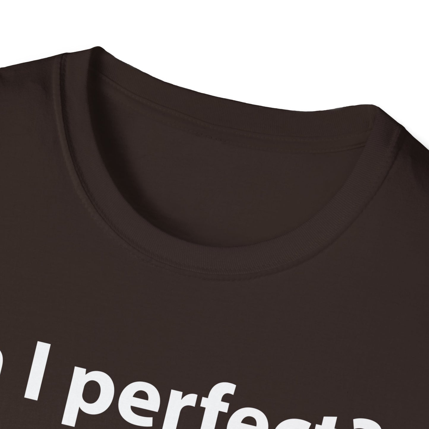 Funny Am I Perfect No. Am I Trying To Be A Better Person Also No Sarcastic T-Shirt