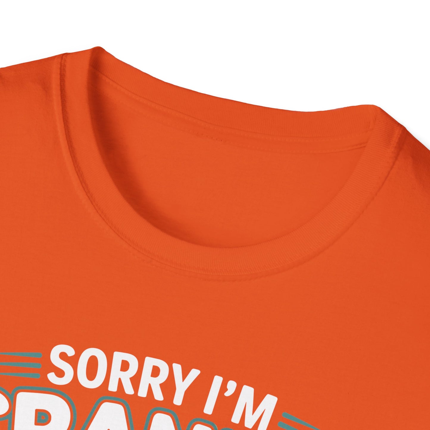 Funny Cat Sorry I'm Cranky I'm Going Through My Terrible 60's Unisex T-Shirt