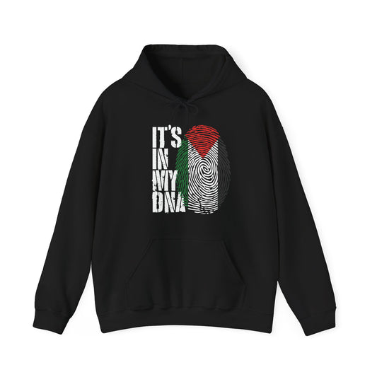 It's In My DNA Palestinian Hoodie Arabic Gifts Palestine Flag Hoodie For Men Women Hoodie