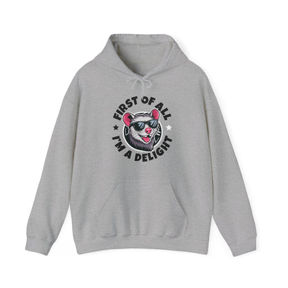 Funny First Of All I'm A Delight Sarcastic Angry Opossum Possum Hoodie For Men Women Hoodie