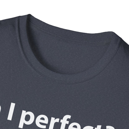 Funny Am I Perfect No. Am I Trying To Be A Better Person Also No Sarcastic T-Shirt
