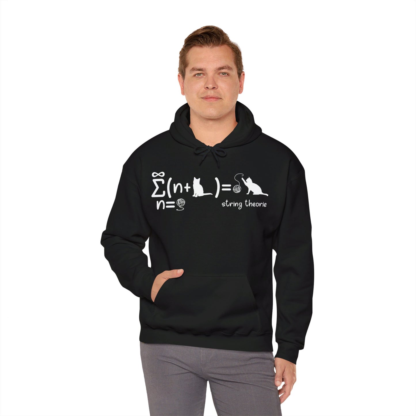 Funny String Theory Science Nerd Physics Schrodinger's Cat Hoodie For Men Women Hoodie