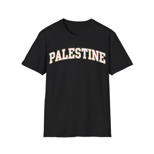 Palestine College Style Texas TX Vintage Sports T-Shirt For Men Women T-Shirt