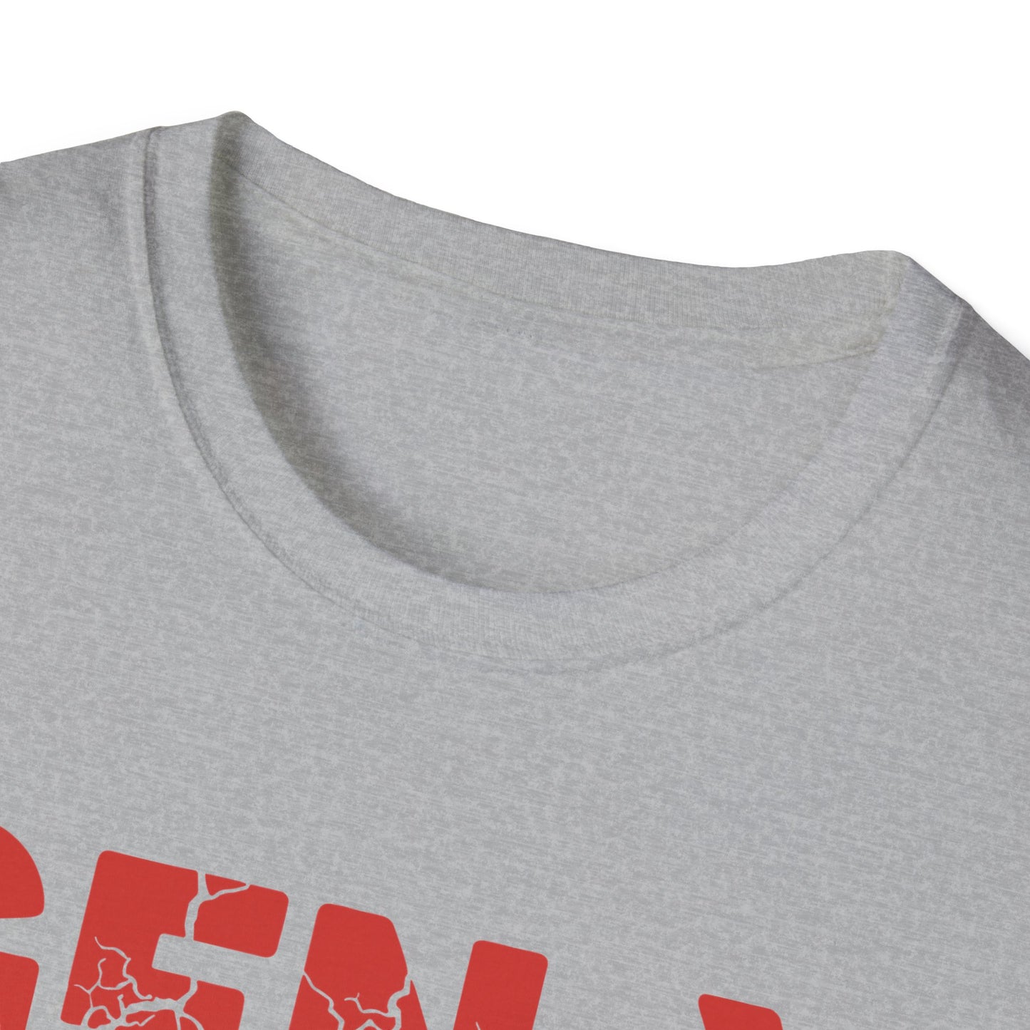 X Generation Before All You Sissie were Born Vintage Gen X T-Shirt