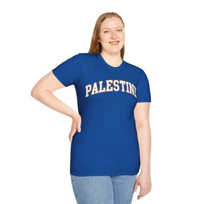 Palestine College Style Texas TX Vintage Sports T-Shirt For Men Women T-Shirt