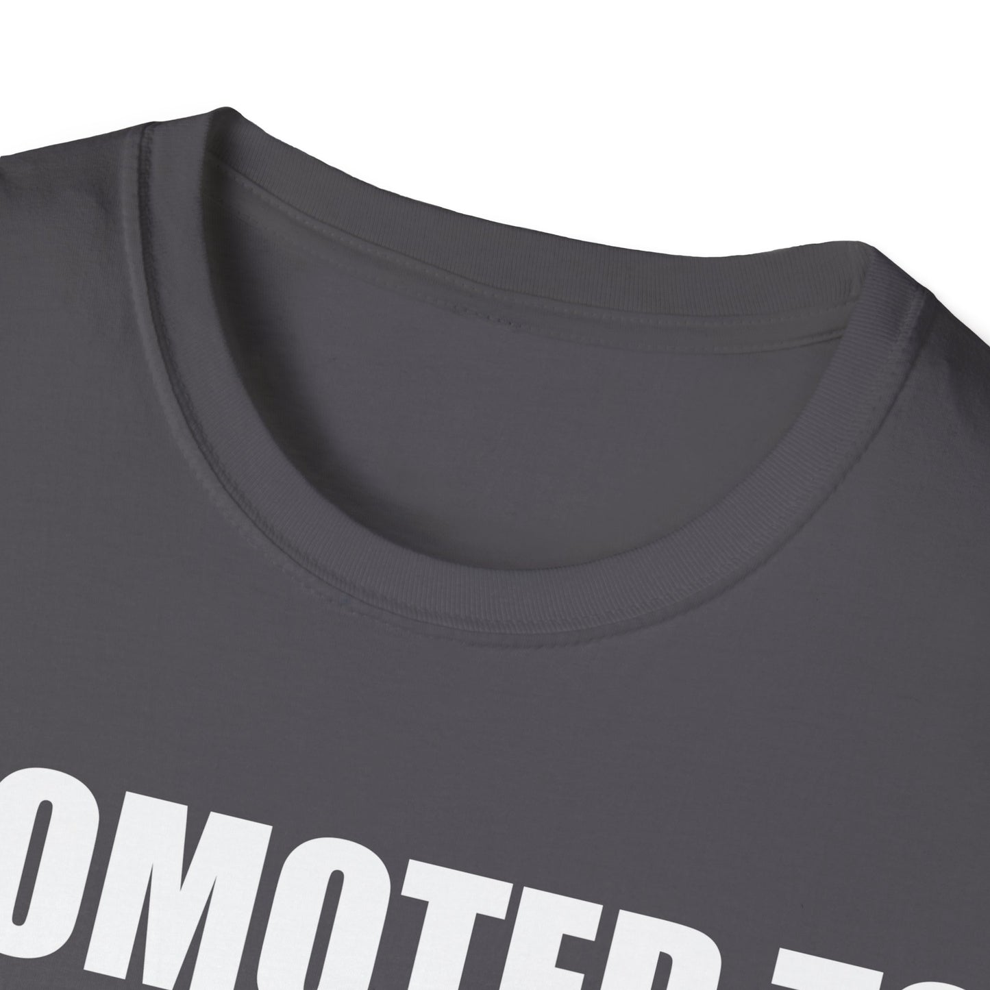 Mens Promoted To Daddy 2026 Pregnancy Announcement Gift T-Shirt