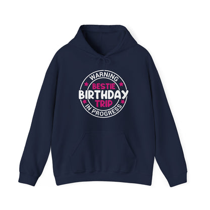 Funny Warning Bestie Birthday Trip In Progress Matching Gift BD Hoodie