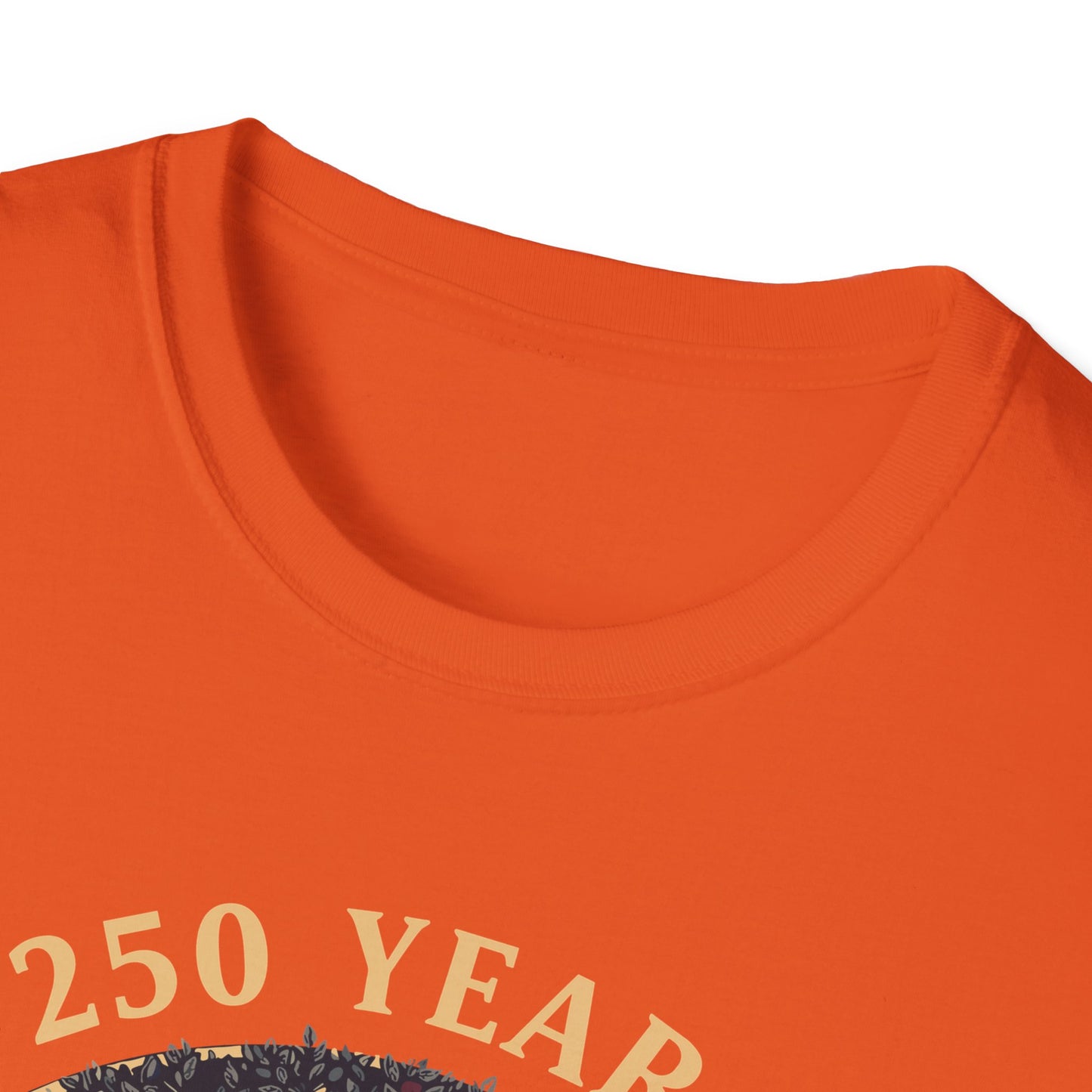 250 Years Faith and Freedom Christian USA 250th Anniversary T-Shirt