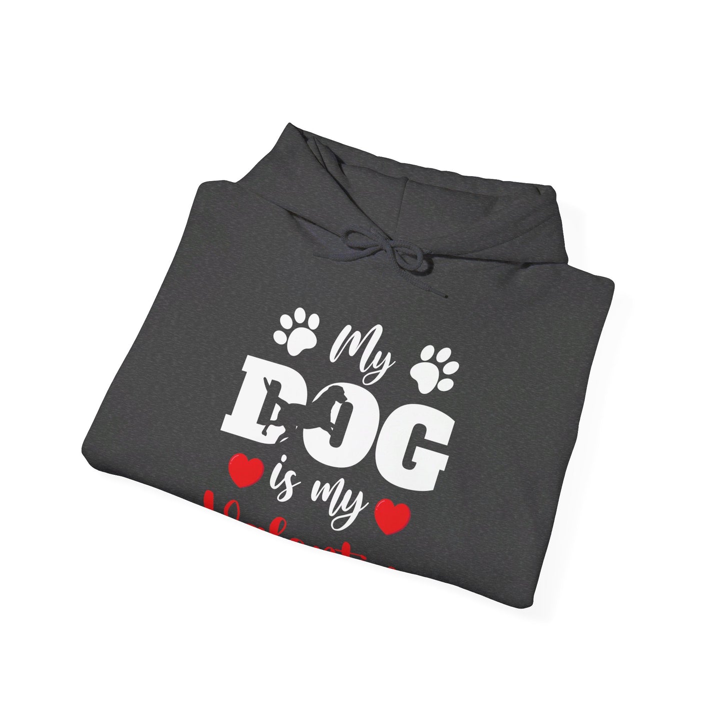 Funny My Dog is My Valentine Dog Lovers Hoodie For Men Women Hoodie