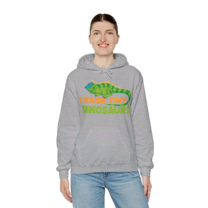 Funny Leopard Gecko I Raise Tiny Dinosaurs Lizard Reptile Geckos Hoodie For Men Women