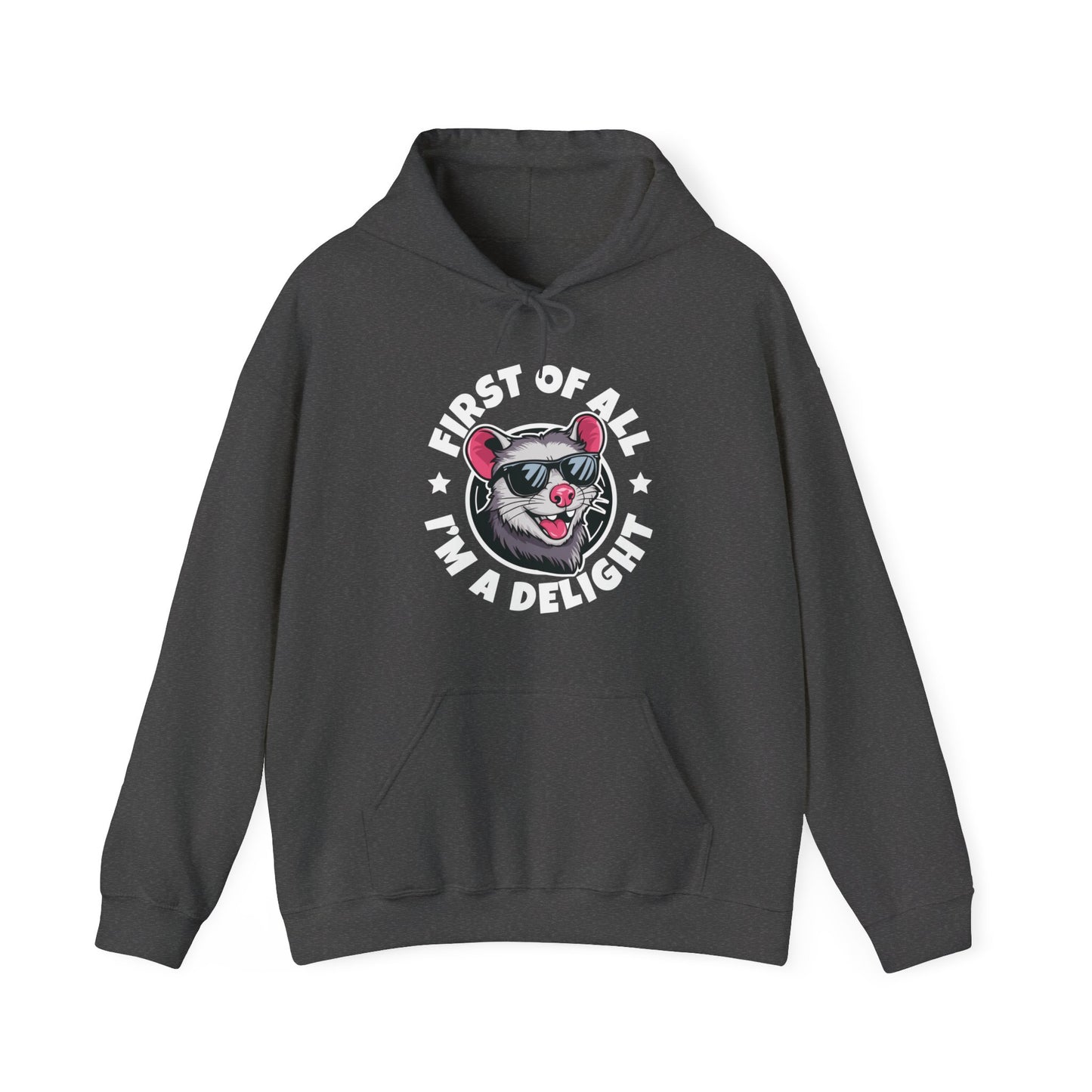Funny First Of All I'm A Delight Sarcastic Angry Opossum Possum Hoodie For Men Women Hoodie