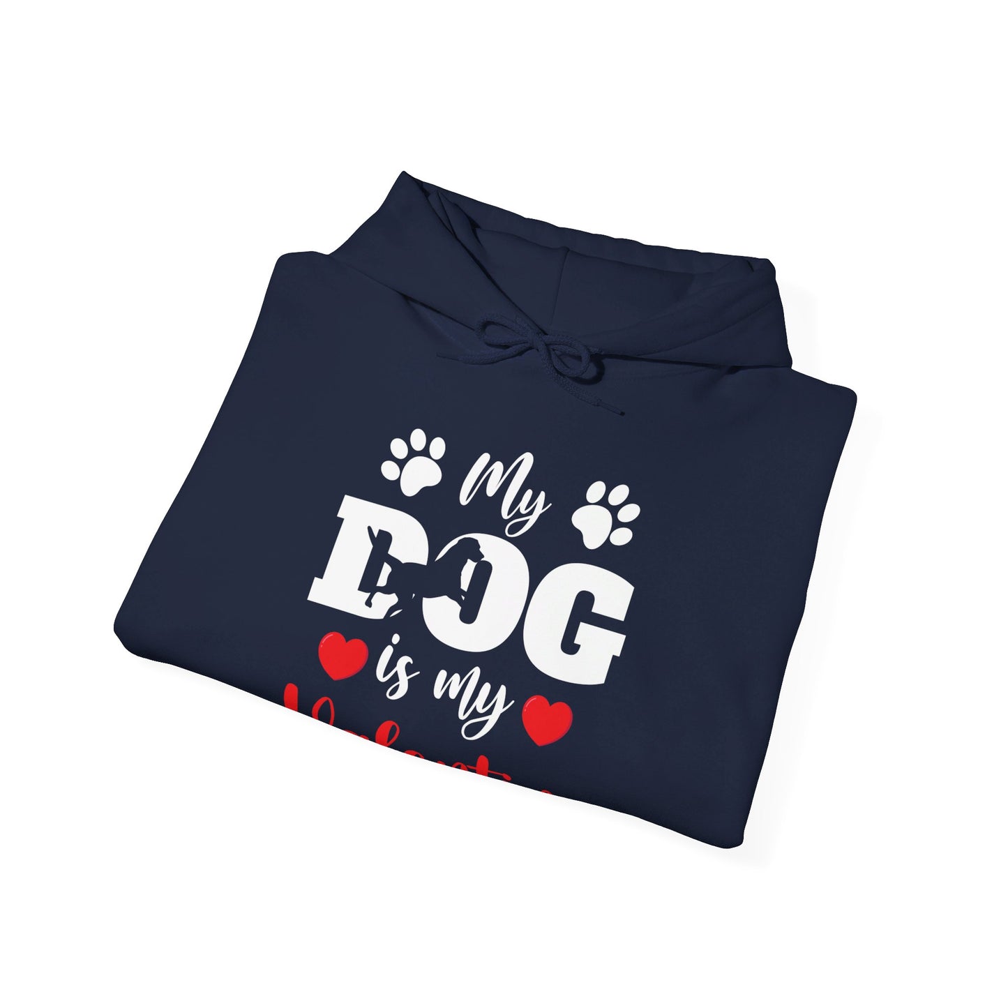 Funny My Dog is My Valentine Dog Lovers Hoodie For Men Women Hoodie