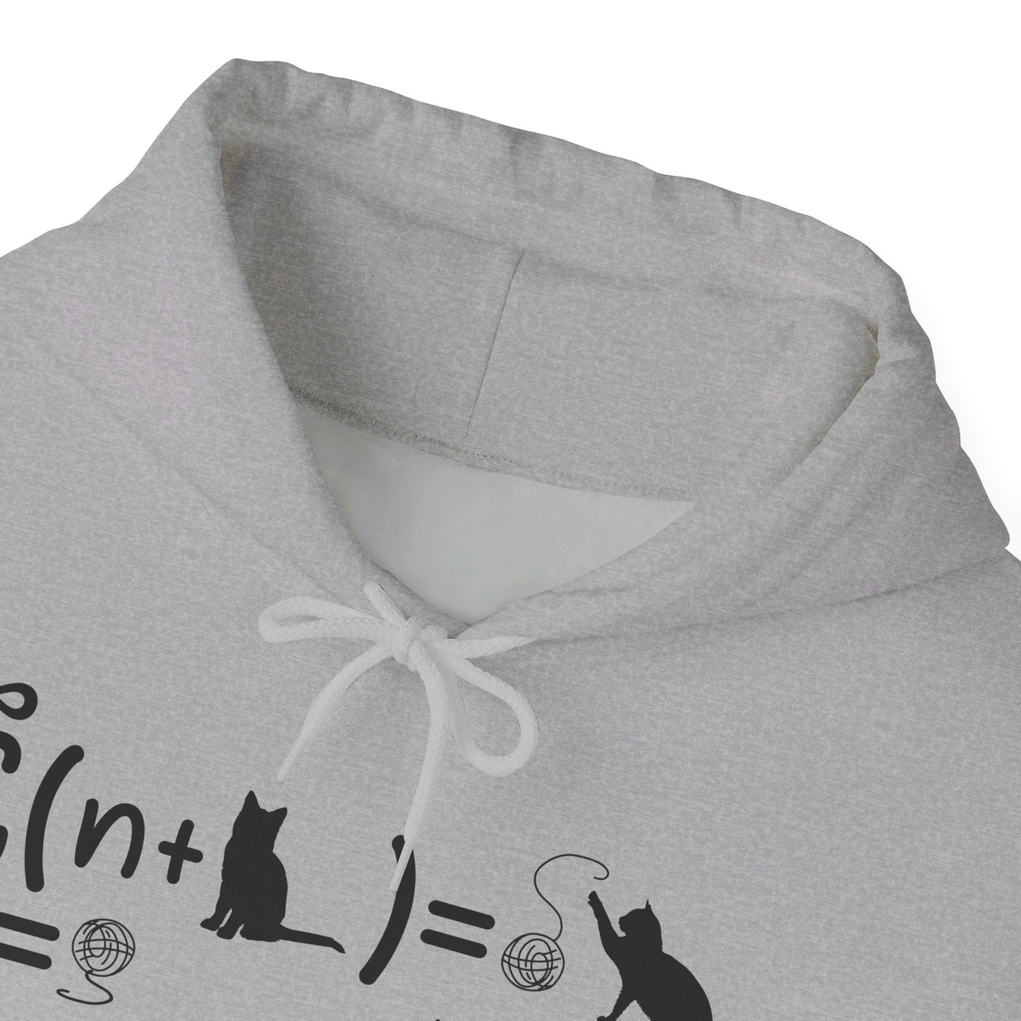 Funny String Theory Science Nerd Physics Schrodinger's Cat Hoodie For Men Women Hoodie