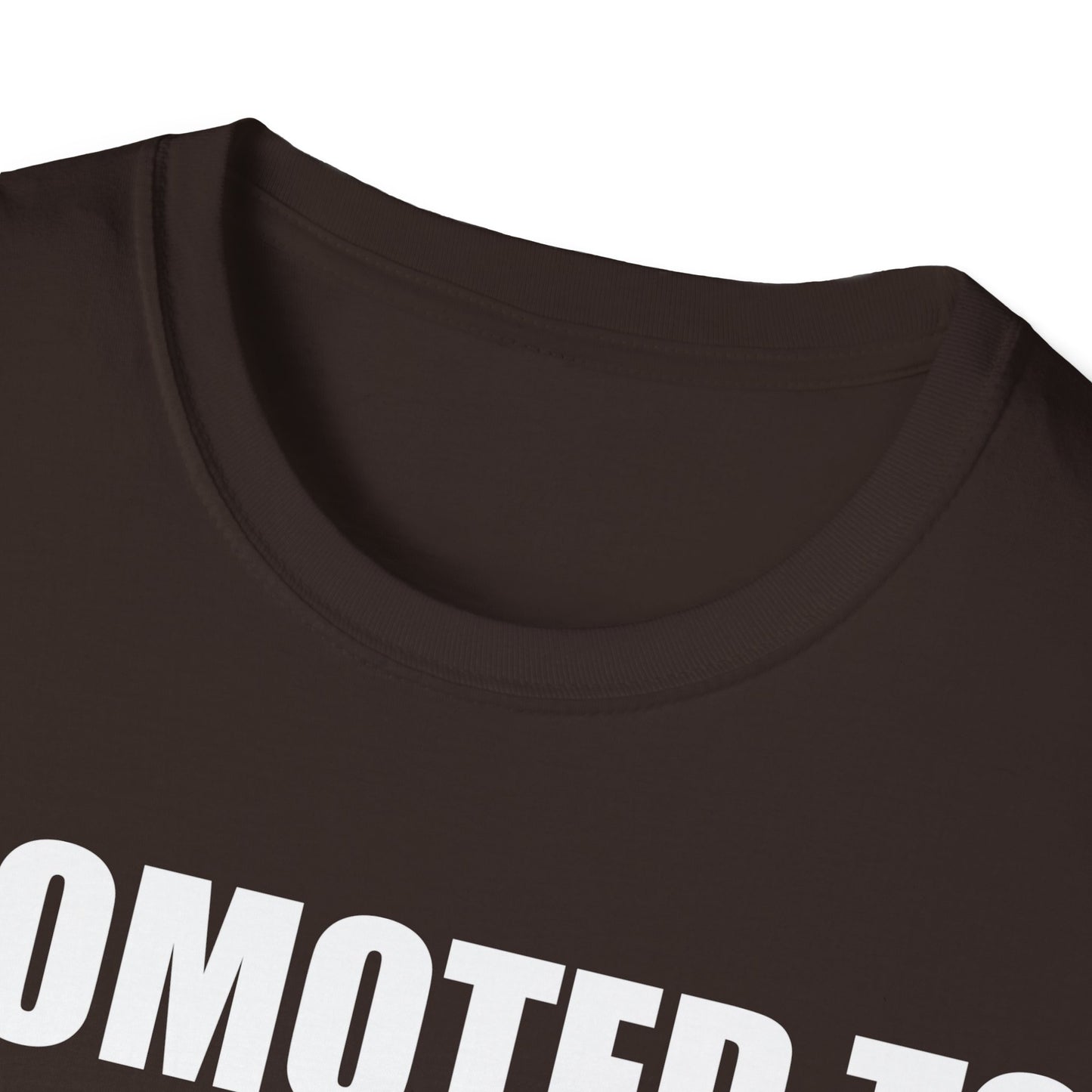 Promoted To Mommy 2026 Pregnancy Announcement Mothers Day Mom To Be T-shirt