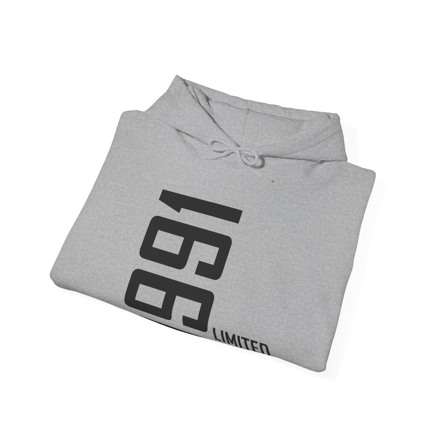 35th Birthday Man Woman 35 Years 1991 Gift Hoodie