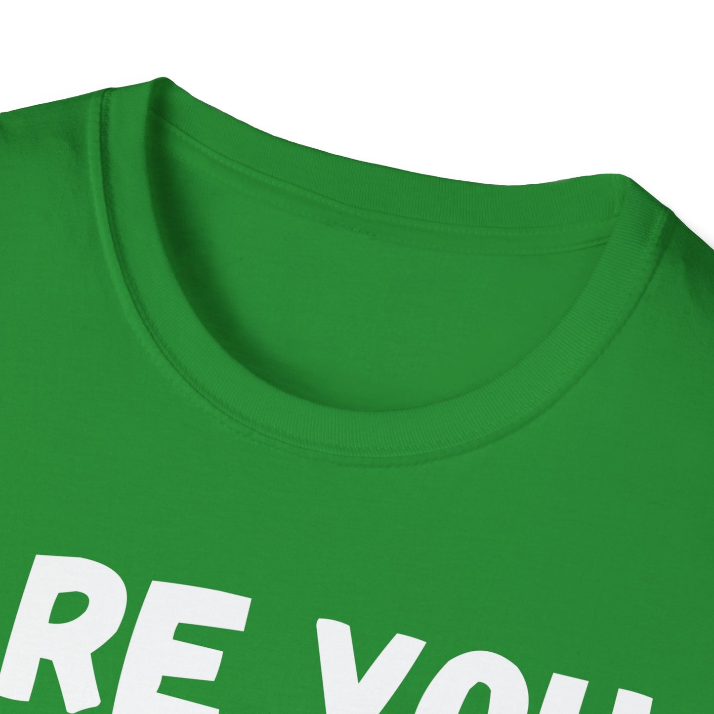 Humor are You Serious Grumpy Funny Monkey Meme T-Shirt
