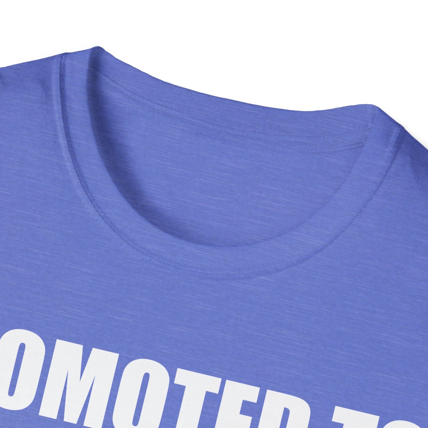 Promoted To Mommy 2026 Pregnancy Announcement Mothers Day Mom To Be T-shirt