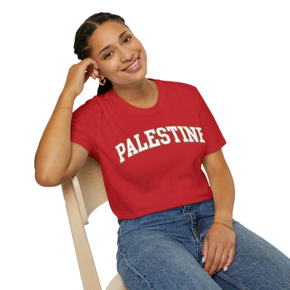 Palestine College Style Texas TX Vintage Sports T-Shirt For Men Women T-Shirt