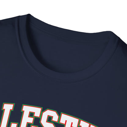 Palestine College Style Texas TX Vintage Sports T-Shirt For Men Women T-Shirt