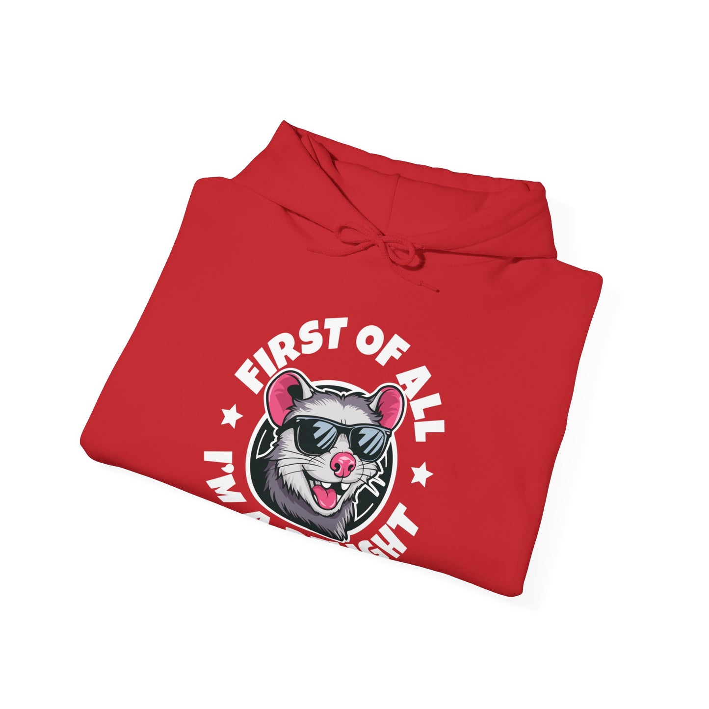 Funny First Of All I'm A Delight Sarcastic Angry Opossum Possum Hoodie For Men Women Hoodie