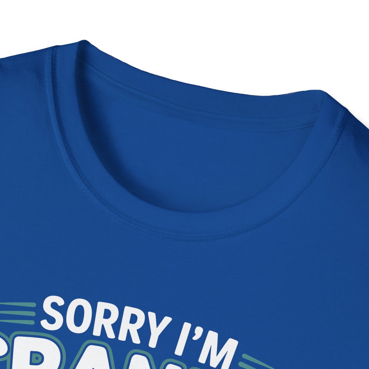 Funny Cat Sorry I'm Cranky I'm Going Through My Terrible 60's Unisex T-Shirt