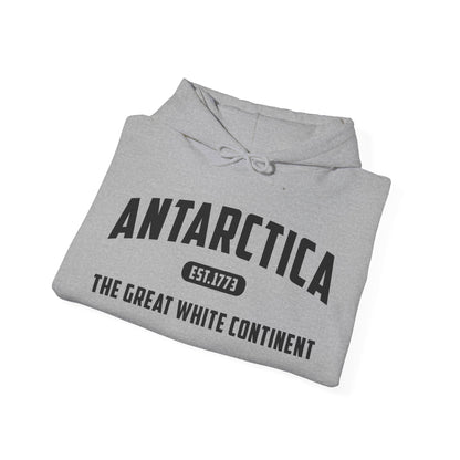 Antarctica Est. 1773 Vintage Artic Great White Continent Hoodie For Men Women Hoodie