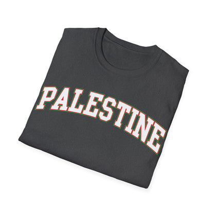 Palestine College Style Texas TX Vintage Sports T-Shirt For Men Women T-Shirt