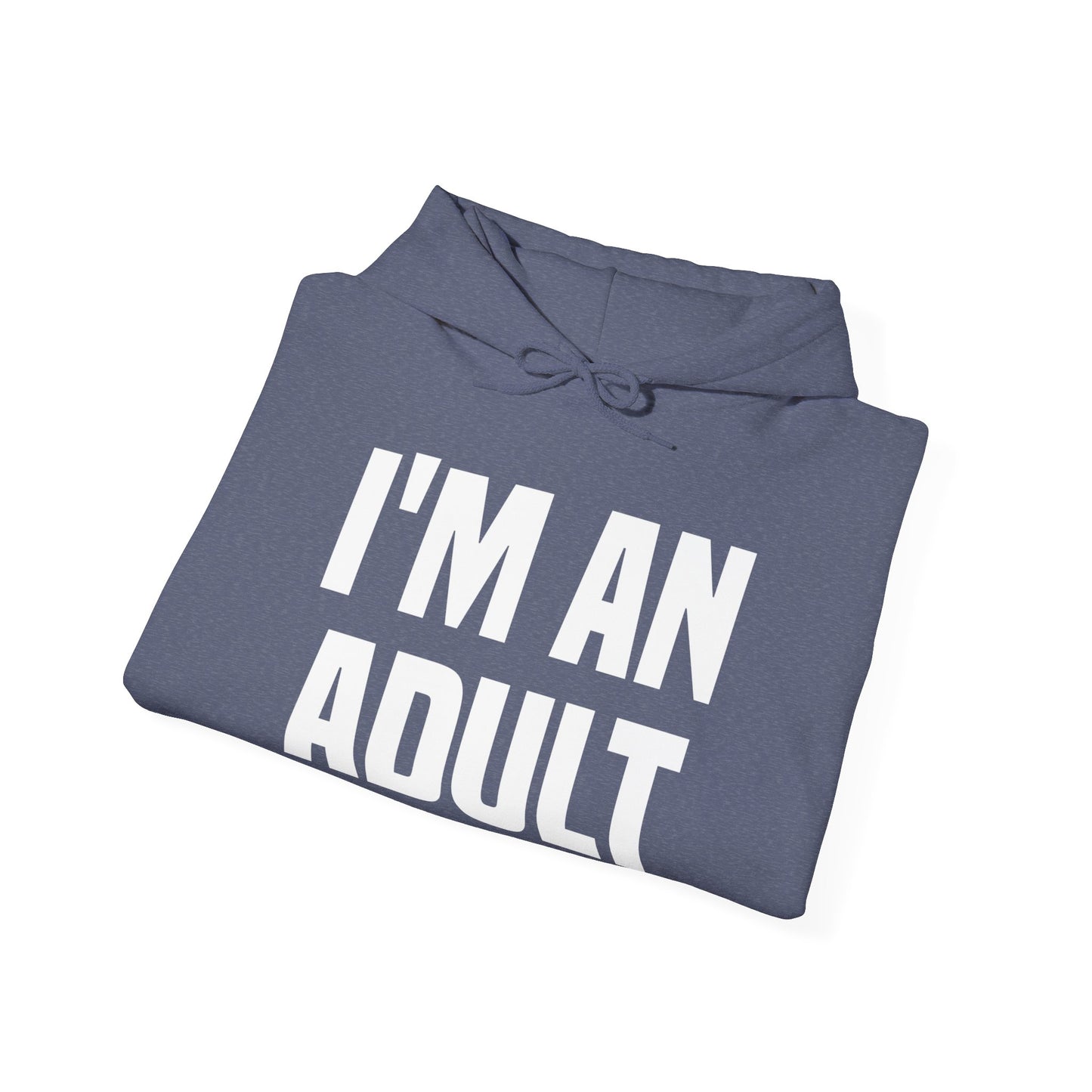 Funny I Am An Adult Technically Hoodie 18th Birthday Hoodie Boys Girls