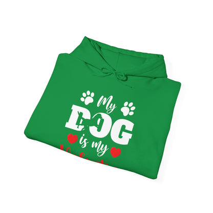 Funny My Dog is My Valentine Dog Lovers Hoodie For Men Women Hoodie