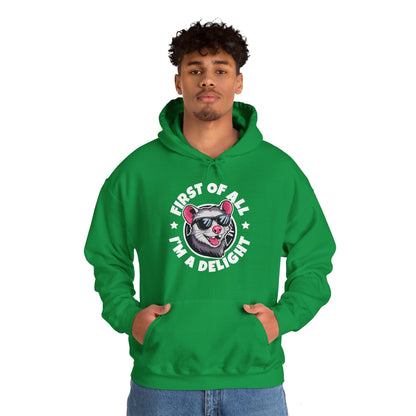 Funny First Of All I'm A Delight Sarcastic Angry Opossum Possum Hoodie For Men Women Hoodie