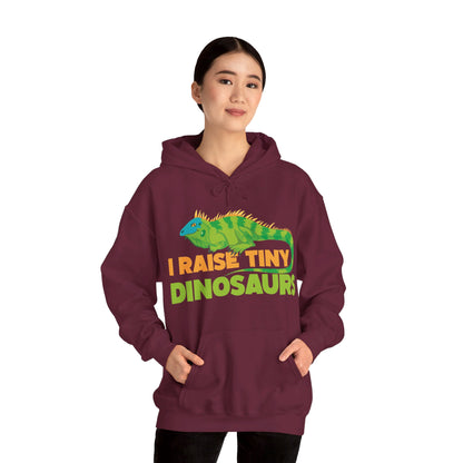 Funny Leopard Gecko I Raise Tiny Dinosaurs Lizard Reptile Geckos Hoodie For Men Women