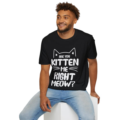 Funny Are You Kitten Me Right Meow T-Shirt Cat Joke Shirt Men Women