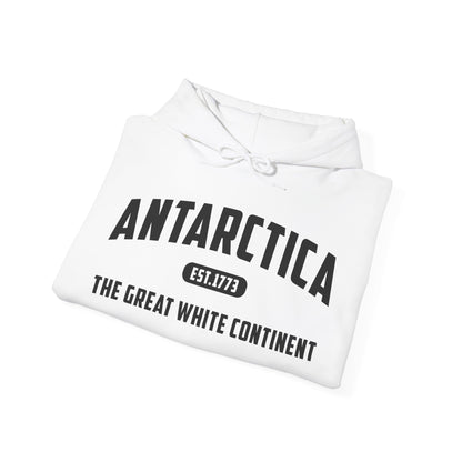 Antarctica Est. 1773 Vintage Artic Great White Continent Hoodie For Men Women Hoodie