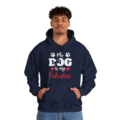 Funny My Dog is My Valentine Dog Lovers Hoodie For Men Women Hoodie