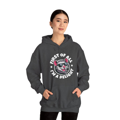 Funny First Of All I'm A Delight Sarcastic Angry Opossum Possum Hoodie For Men Women Hoodie