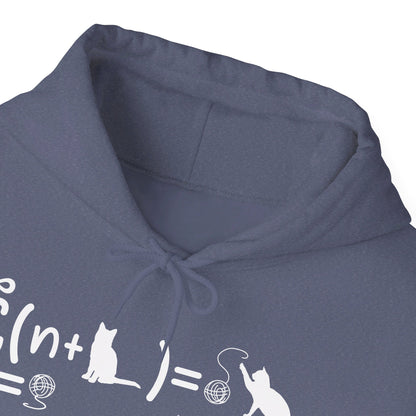 Funny String Theory Science Nerd Physics Schrodinger's Cat Hoodie For Men Women Hoodie