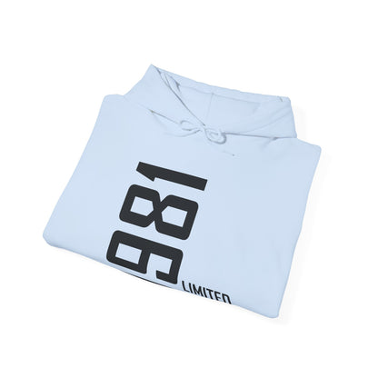 45th Birthday Man Woman 45 Years 1981 Gift Hoodie